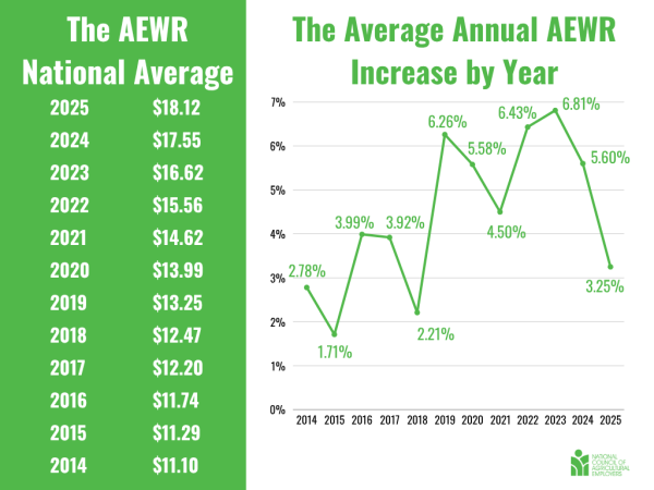 AEWR Average Updated 2025